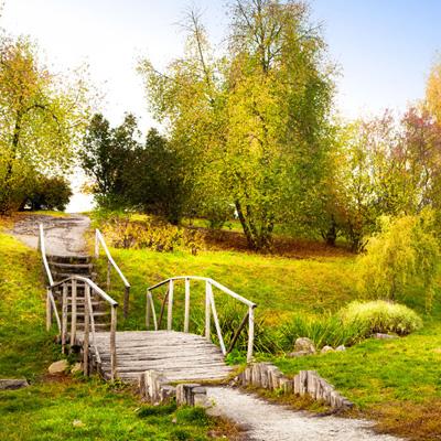 半岛网页版入口官网